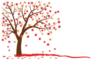 Maple tree in autumn with falling leaves drawing

