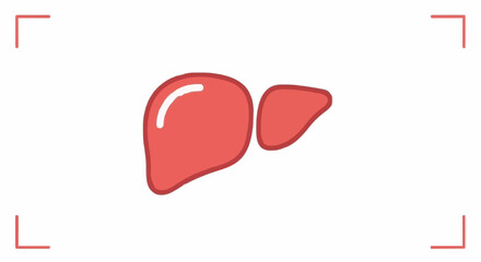 Healthy red liver icon, vibrant organ symbol