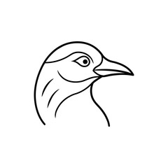 Fototapeta premium A sorell Bird's Head Line art vector illustration.