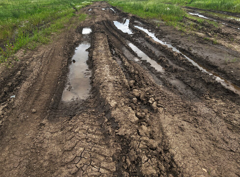 Muddy dirt road with deep tire tracks and puddles, surrounded by lush green grass and wildflowers,effects of rain on rural landscapes and nature's resilience