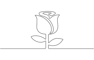 Rose one line drawing. Abstract flower continuous line. Minimalist contour drawing of, Continuous line drawing of flower rose . Hand drawn of flower vector .