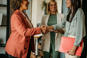 Businesswomen shaking hands during meeting in office