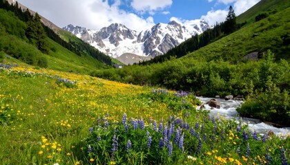 Alpine meadow blooms below snow peaks