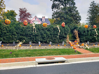 Skulls and Skeletons and pumpkins in front of the house. Autumn holiday Halloween in America.