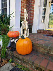 Dog skeleton - traditional decoration. Autumn holiday Halloween in America.