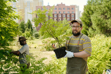 Caucasian young adult man wearing glasses holding potted plant while standing outdoors in urban park, Black middle aged man working with greenery in background, both engaged in gardening activity