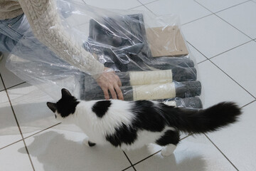 One person is assembling a new cat house at home with his cat.
