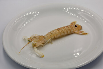 Raw mantis shrimp on white plate.