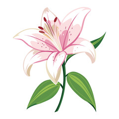 Naklejka premium vector illustration of lily