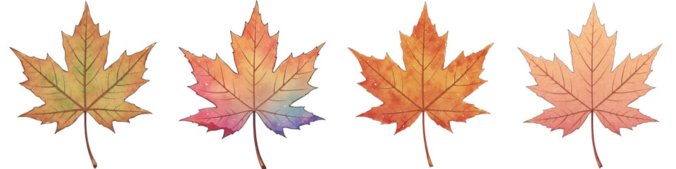 Obraz premium Set of isolated maple leaves in autumn colors for seasonal decor 