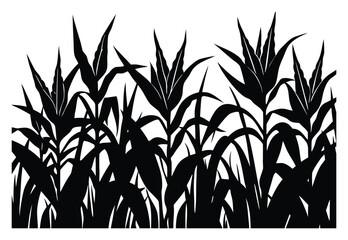 Striking Silhouette of a Cornfield Graphic Illustration for Agriculture and Harvest Themed Designs