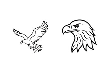 Majestic eagle in flight and fierce eagle head bird