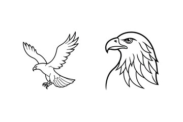Eagle flying and eagle head profile bird wings