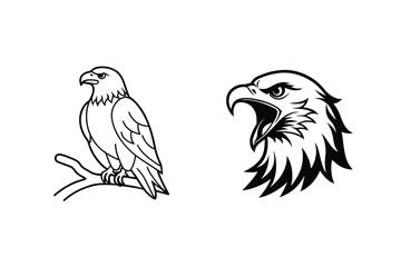 Eagle perched on branch and eagle head roaring bird