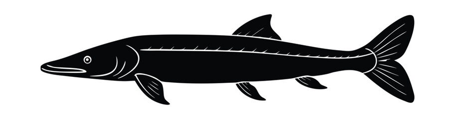 Illustration of a Muskie Fish Detailed Vector Art for Fishing Enthusiasts and Fresh Water Predator