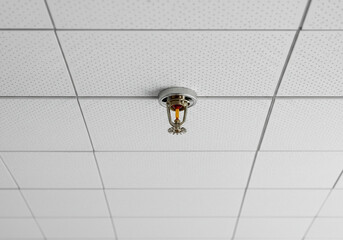 Ceiling-Mounted Fire Sprinkler with Red Glass Bulb for Emergency Activation