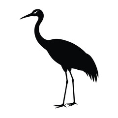 Fototapeta premium heron on a beach