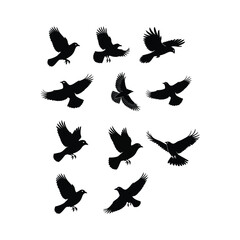 Set of Blackbird Silhouettes in Flight
