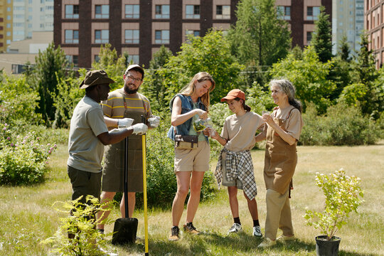 Group of multiethnic adults and teenager gardening outdoors, planting young tree together in urban park, holding sapling and gardening tools, collaborating on community project
