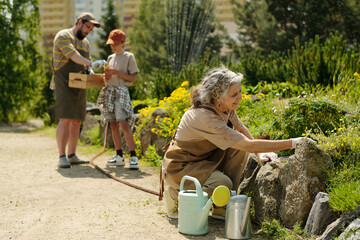 Senior Caucasian woman tending garden bed while middle aged Caucasian man and teenage boy gathering vegetables in background, outdoor community garden setting, gardening tools visible