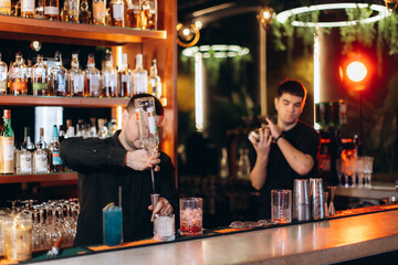 Professional Bartenders Preparing Drinks in a Stylish Modern Bar Setting