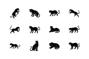 Obraz premium vector illustration of panther pose set.