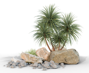 small tree with rock group with shadow PNG transparent, 3d illustration rendering 