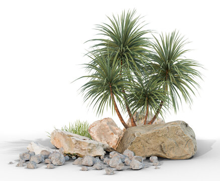 small tree with rock group with shadow PNG transparent, 3d illustration rendering 