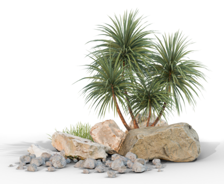 small tree with rock group with shadow PNG transparent, 3d illustration rendering