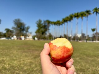 Criança a comer uma maçã ao ar livre num dia ensolarado. Imagem vibrante e natural, perfeita...