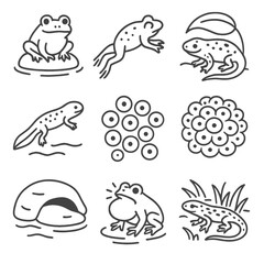 Amphibians in Wetlands. Line style icons of amphibians in wetlands: frog on rock, toad jumping, salamander under leaf, newt
