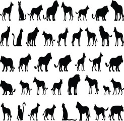 Set of animals silhouettes , wild animal vector silhouettes collection.




