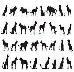Set of animals silhouettes , wild animal vector silhouettes collection.




