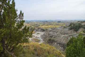 View from Boicourt Trail at Theodore Roosevelt National Park