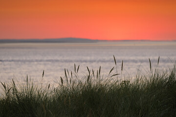 the tender beginning of a day, Dunes of Texel, Netherlands, sunrise, peace, warm colors North Sea, Holland