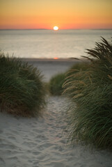 Dunes of Texel, Netherlands, sunrise, peace, warm colors North Sea, Holland, path with horizon, no clouds