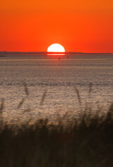 Dunes of Texel, Netherlands, sunrise, peace, warm colors North Sea, Holland, horizon in the morning