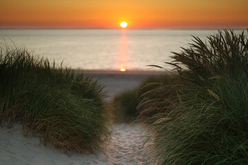 Dunes of Texel, Netherlands, sunrise, peace, warm colors North Sea, Holland, reflection on the sea