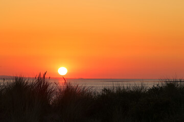 Dunes of Texel, Netherlands, sunrise, peace, warm colors North Sea, Holland, golden hour