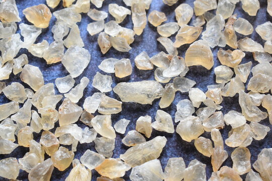 Raw whole dried Tragacanth gum