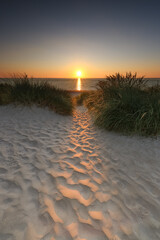 Dunes of Texel in the Netherlands, beauty of nature, sunrise, holiday, free, silence, path in portraitformat
