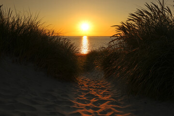 Dunes of Texel in the Netherlands, beauty of nature, sunrise, holiday, free, silence, from darkness to light
