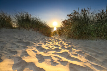 Dunes of Texel in the Netherlands, beauty of nature, sunrise, holiday, free, silence, footprints, horizon, path
