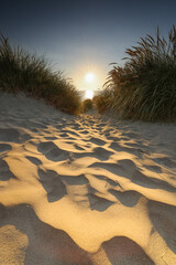Dunes of Texel in the Netherlands, beauty of nature, sunrise, holiday, free, silence, 
