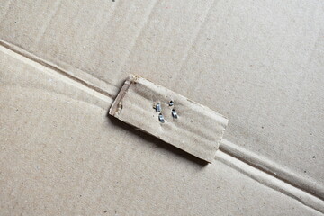 Metal staple on brown cardboard