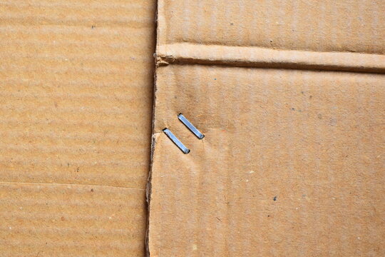 Metal staple on brown cardboard
