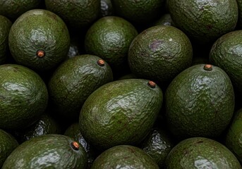 Fresh Avocados Piled Up – Tropical Green Fruit in High Resolution