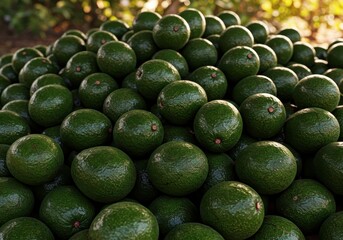 Fresh Avocados Piled Up – Tropical Green Fruit in High Resolution
