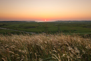 Texel, Netherland, De Slufter, island, North sea, gras in front