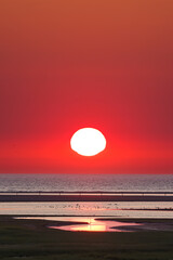 Texel, De Slufter, sunset, holidays, North sea, island, nature reserve, Netherlands, red, orange, warm, colored, sun gets to smile